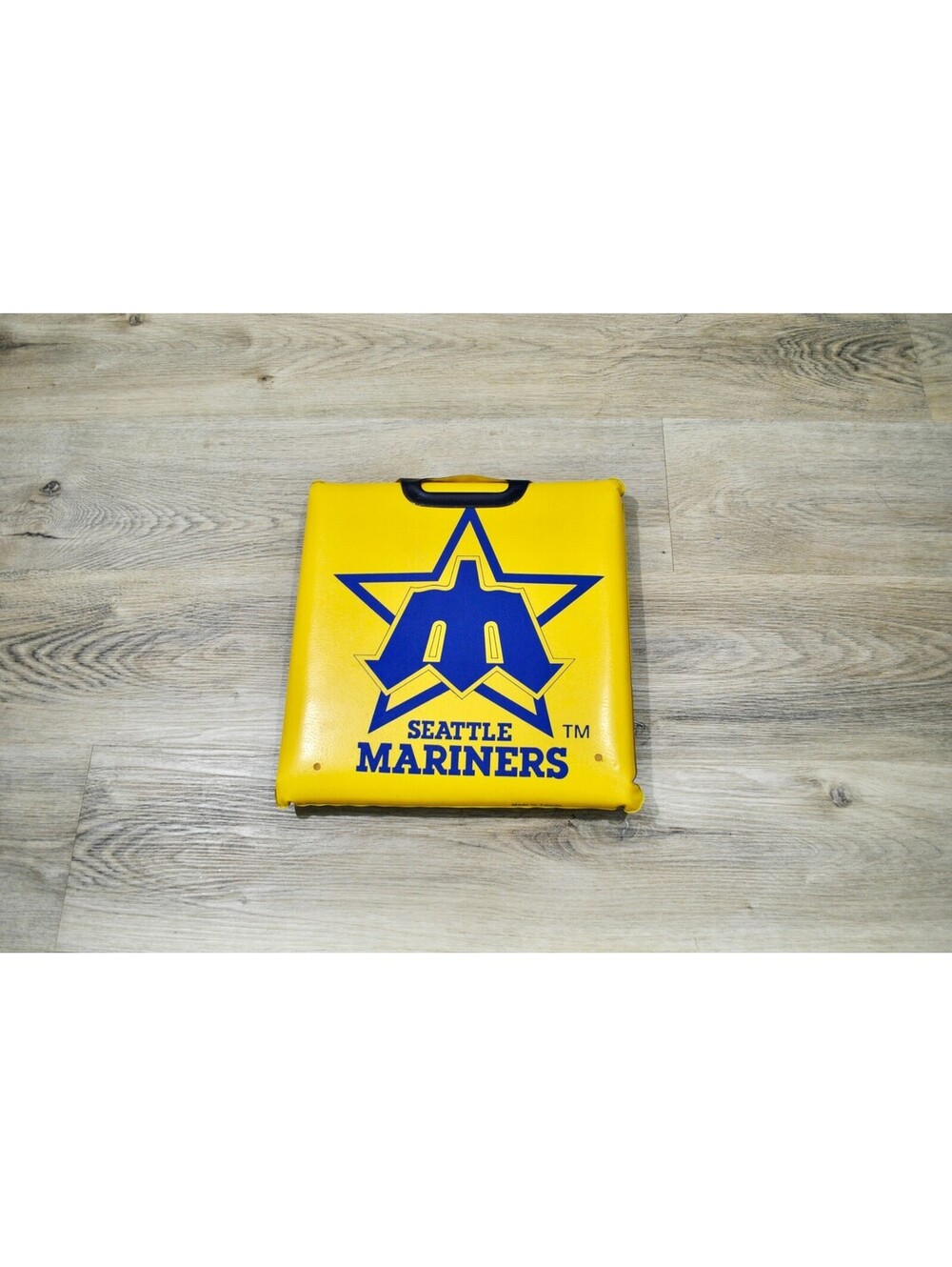 Seattle Mariners Vintage 70s 80s MLB Baseball Seat Decor Chair Cushion